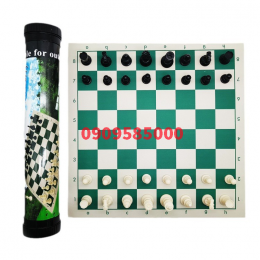 Bộ cờ vua nhựa đặc có ống đựng, hàng cao cấp thi đấu (tặng 2 hậu)