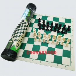 Bộ cờ vua nhựa đặc có ống đựng, hàng cao cấp thi đấu (tặng 2 hậu)