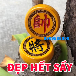 Cờ tướng gỗ nanmu vàng siêu quý hiếm (hàng giới hạn số lượng)